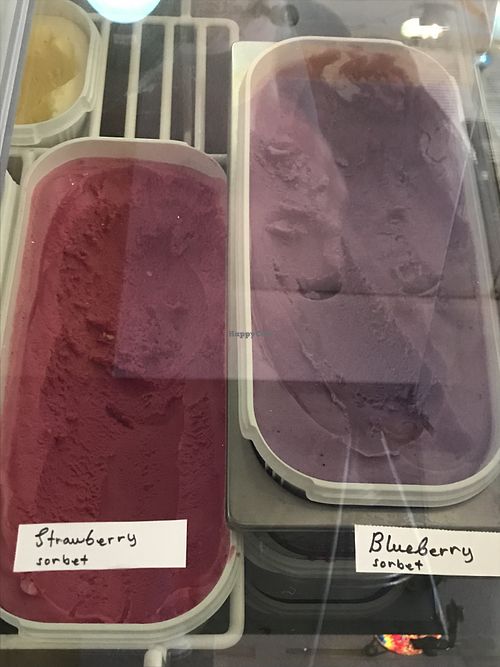 vegan sorbets  at Eldur og Is - Fire and Ice in Reykjavik