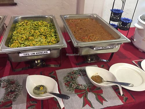 my faves at Planet Vegis - Emilio Osmena in Cebu