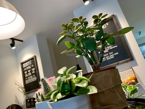 inside at Cafe Neundrei in Berlin