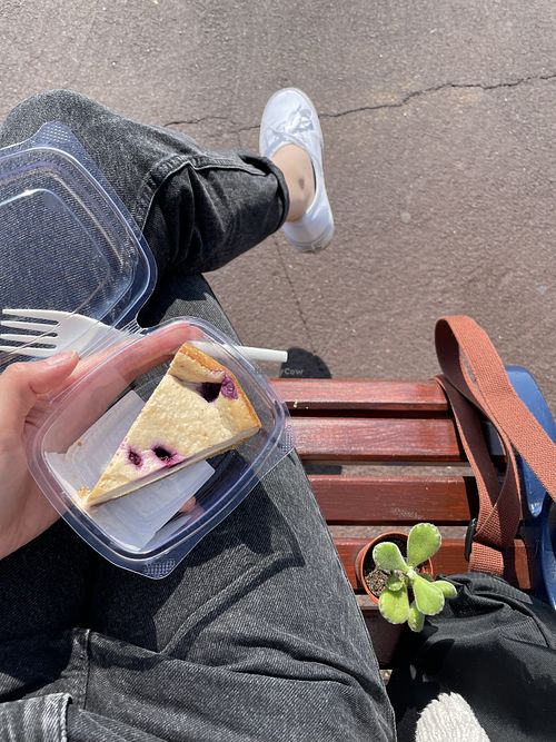 Blueberry cheesecake  at Wild Thyme Wholefoods in Portsmouth