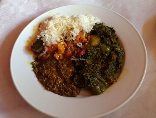 Vegan Buffet at India Palace in Copenhagen