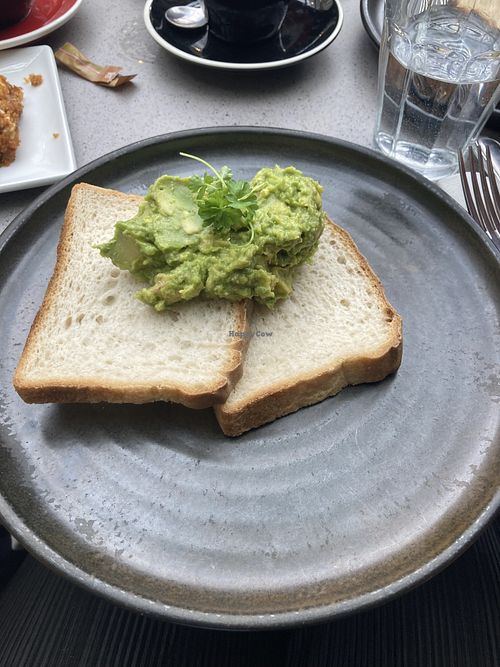 GF avo toast  at Hot Numbers Coffee - Trumpington St in Cambridge