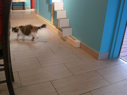 Aoife at Venosa Cafe in Montreal