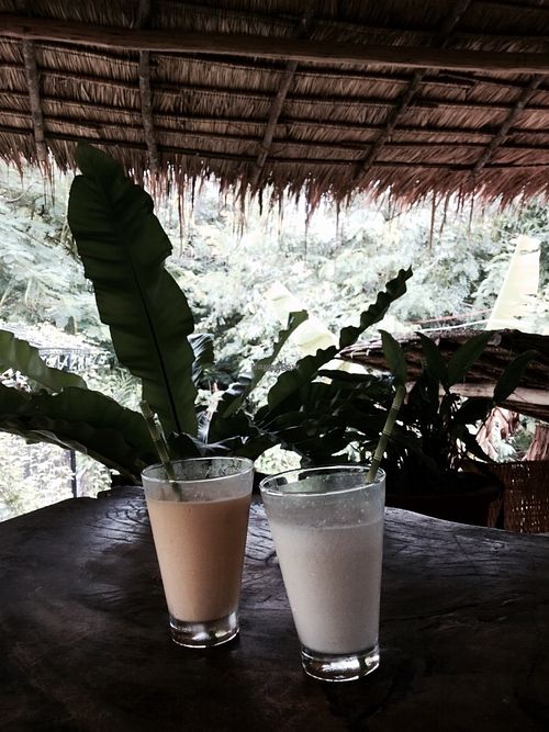 Papaya and orange smoothie at Deva in Kampot