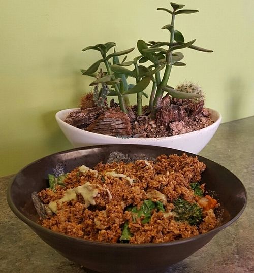 build your own bowl with nut taco meat, kale, shrooms, broccoli & southwest sauce at Nourish in Gilbert
