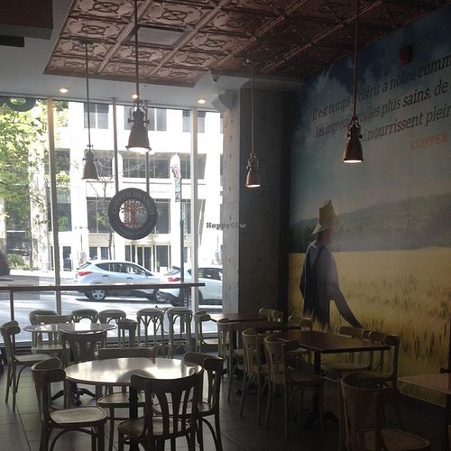 inside at Copper Branch - Rene Levesque in Montreal