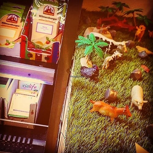 Little store at Loving Hut Veganerie in Leuven