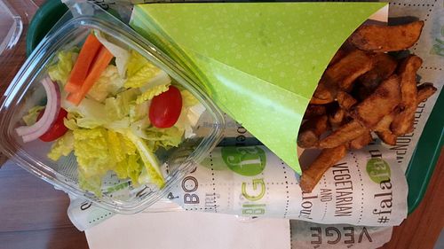 Fries (in a cone), side salad (fresh but simple) and a falafel sandwich all wrapped up. at Falafel Avenue - University in Montreal