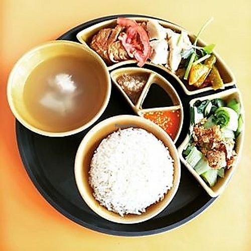 Option A - Vegetarian Chicken Rice Set at 33 Vegetarian in Northeast Singapore