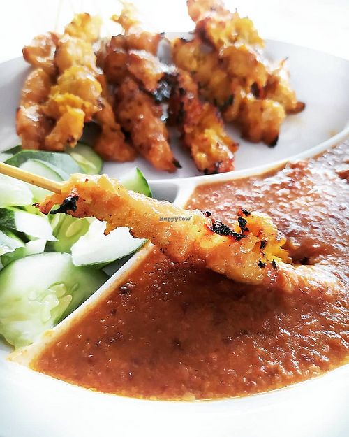 Satay ($8 for 10pcs) at Victor Veggie 味特素食 in Central Singapore