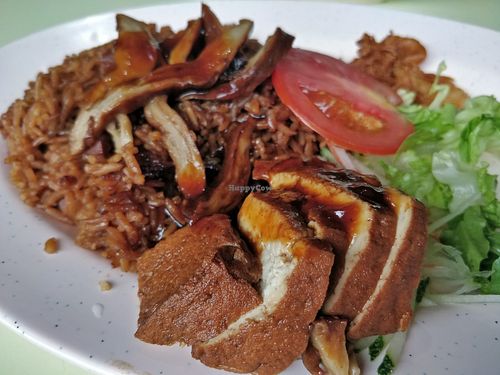 Duck rice at Su Shi Jia Xiang Wei 素食家乡味 in Central Singapore