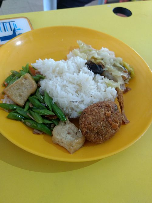 Fis at Spring Vegetarian 长春素食 in Central Singapore