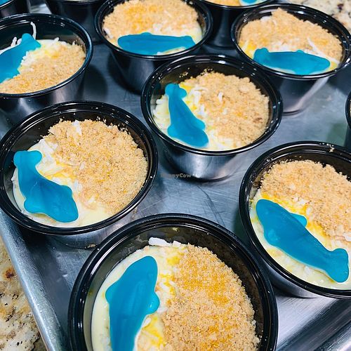 vegan pina colada pie at Twisted  Noodle Cafe in St George