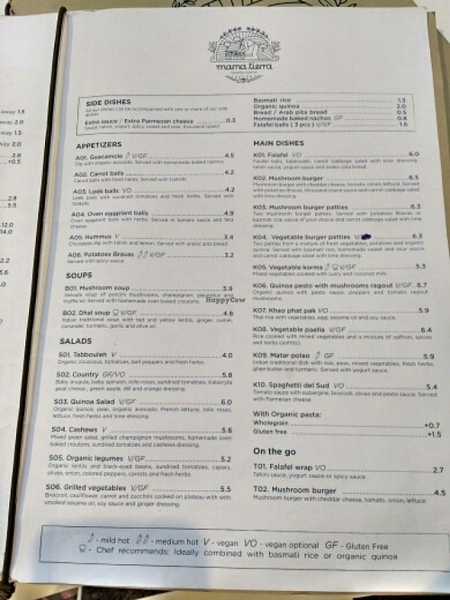 menu at Mama Tierra in Athens