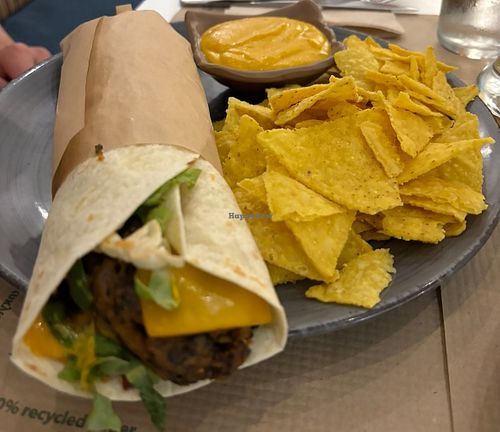 mushroom melt wrap platter with chips and vegan cheese dip  at Mama Tierra in Athens