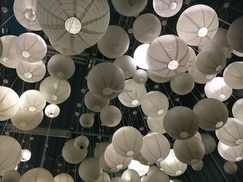 Ceiling  at The Herb Garden in Newcastle Upon Tyne