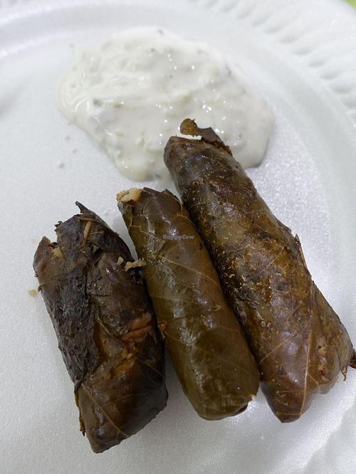 stuff vine leaves and yogurt  at Pita Pocketz in Central Singapore
