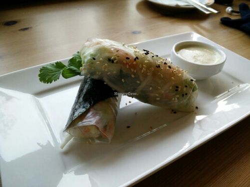 jummy healthy springroll  at Velvet Leaf in Berlin
