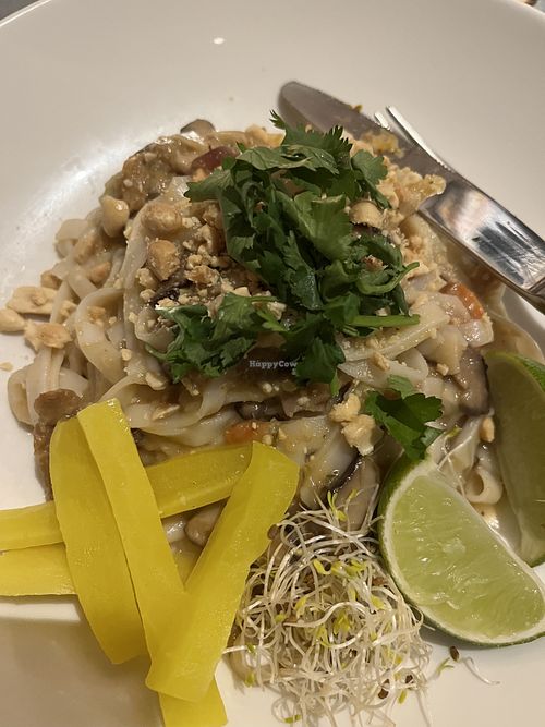 Pad Thai  at Teresa Carles Cocina Vegetariana in Barcelona