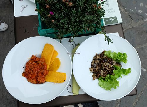 Polenta & mushrooms  at Universo Vegano in Florence