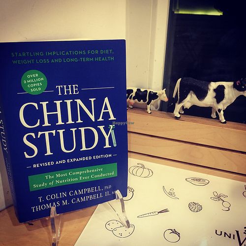 English China Study  at Universo Vegano in Florence