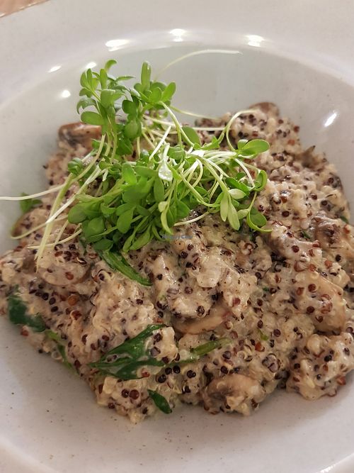 Quinoa risotto: SIMPLY PERFECT! at Bhajan Cafe in Riga