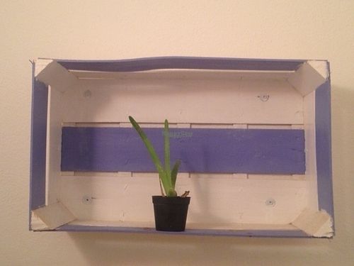 Colourfull recycled wood
Very charming decorated terrace
Cape Verdean style
Local plants at Cape Fruit in Santa Maria