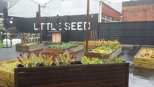 streey front at Little Seed by Firefly in Toowoomba