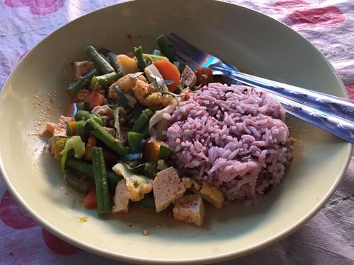 Panang tofu curry, 70 baht at Peppermaint Guesthouse in Chiang Mai
