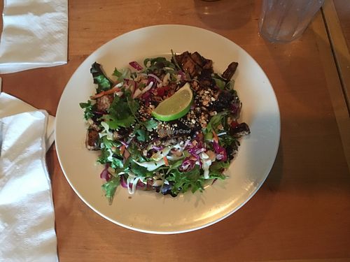 Gluten Free, Vegan: Noodles, Tofu, and huge salad = modified Pac Rim Noodles Thai  at Indigo Coastal Shanty in Brunswick