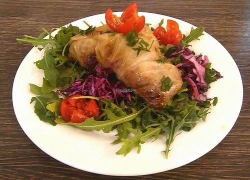 stuffed cabbage at Lisc Laurowy in Gdansk