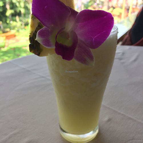 Fresh pressed pineapple juice at The Whole Earth in Chiang Mai