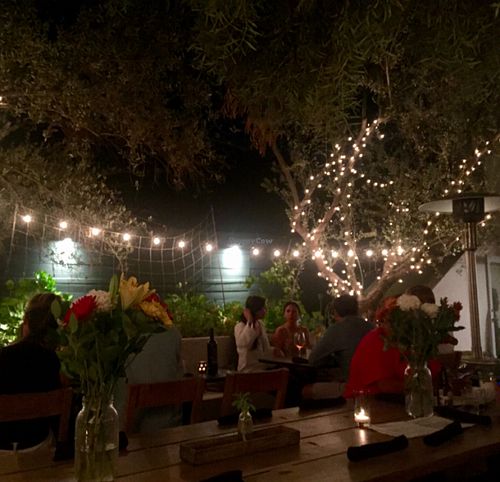 the garden  at Plant Food + Wine in Los Angeles