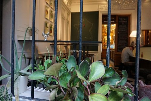 Inside at Le Botaniste in Ghent