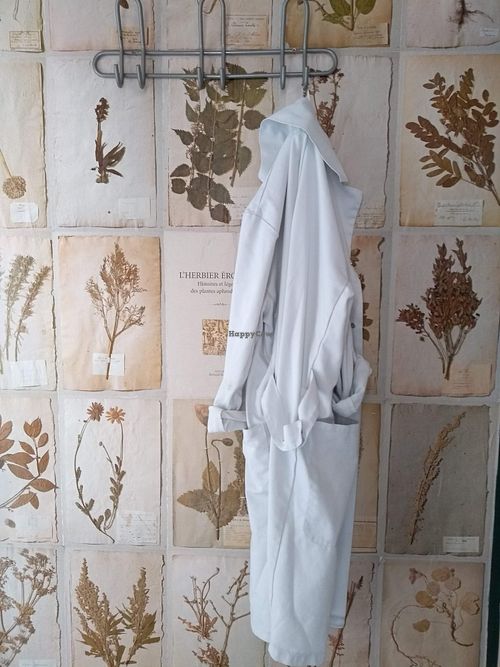 Quirky decor adding visual interest to Le Botaniste at Le Botaniste in Ghent