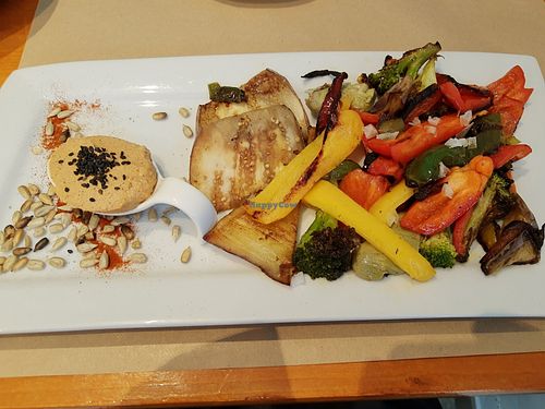 Veg at Fang i Aram in Menorca