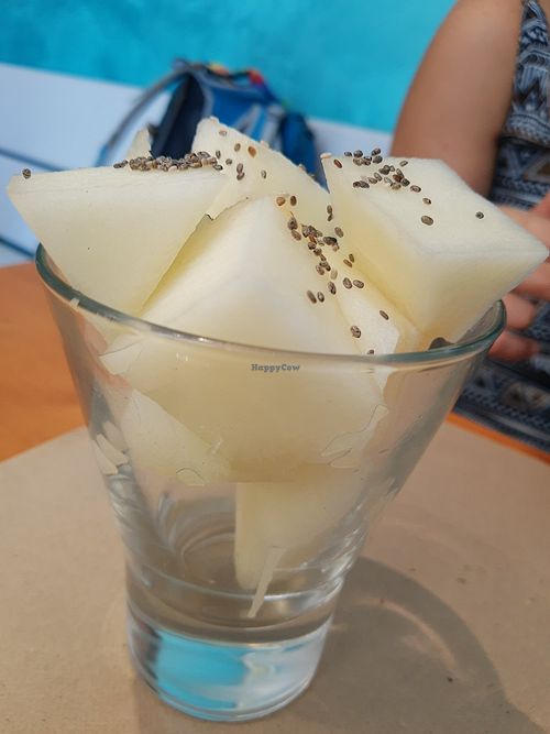 Melon at Fang i Aram in Menorca