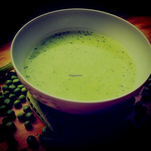 Pea and mint soup (gluten free, vegan, lactose free).  Delicious!! at The Goat Herder in Budapest