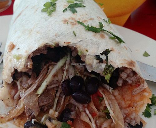 Vegan beef burrito at Gringo A Go Go in Raleigh