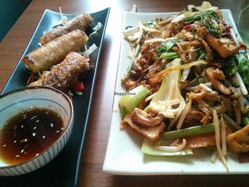 vegetables with tofu + spring rolls. very good! at Soy in Berlin