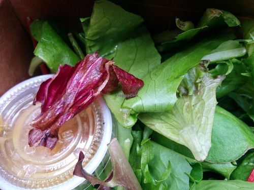 Green salad with blood orange dressing at Fru Fru Terra in Portland