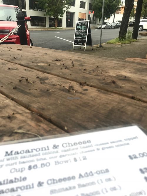 vtopia außenbestuhlung at Fru Fru Terra in Portland