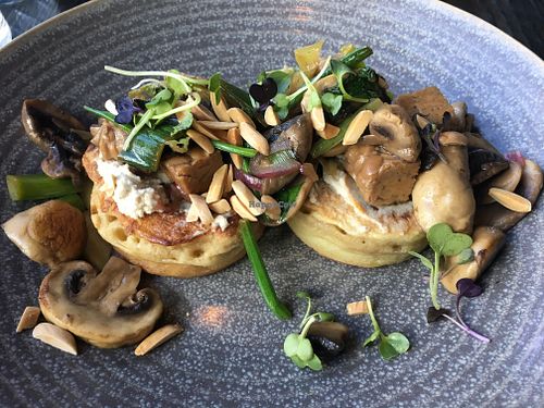 Vegan crumpets with tempeh and mushrooms  at Town Tonic in Christchurch