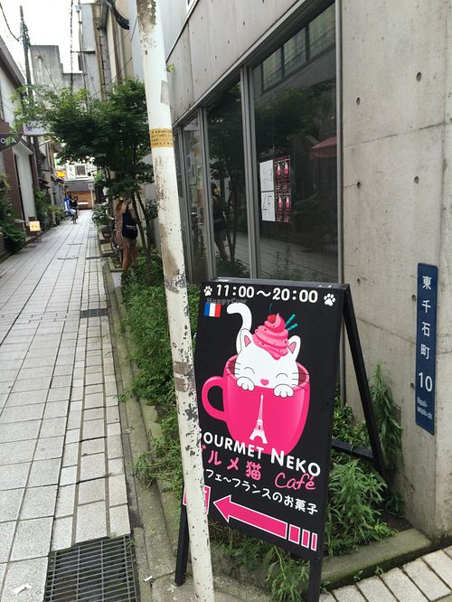 グルメ猫カフェ at Gourmet Neko Cafe in Kagoshima