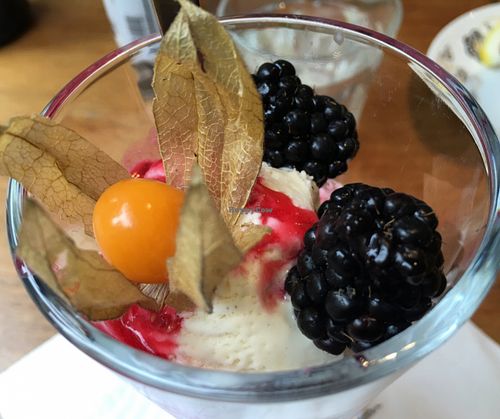 ice 'cream' at Henderson's Vegan in Edinburgh