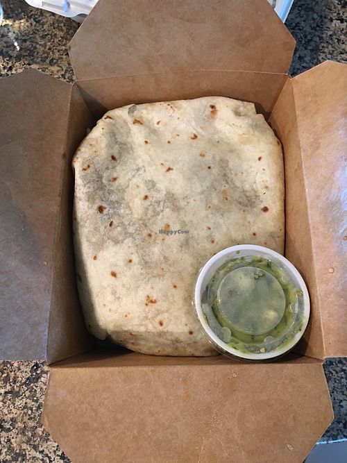 Huge veggie burrito at Mad Mex in Willow Grove