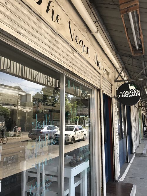 Lovely restful spot  at The Vegan Dinosaur in Davao City