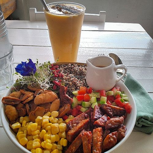 Image of The Vegan Dinosaur