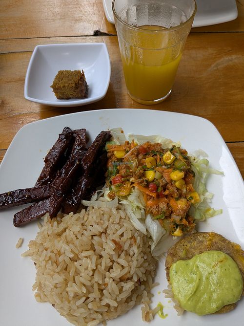 Seitán sticks w/BBQ sauce, salad, coco-rice, plantain slice w/guacamole at El Vegano Andante in Medellin