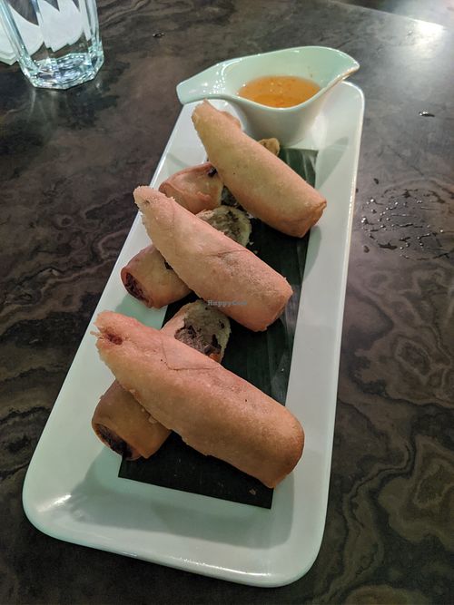 Vegan spring rolls at Sabai Sabai in Toronto